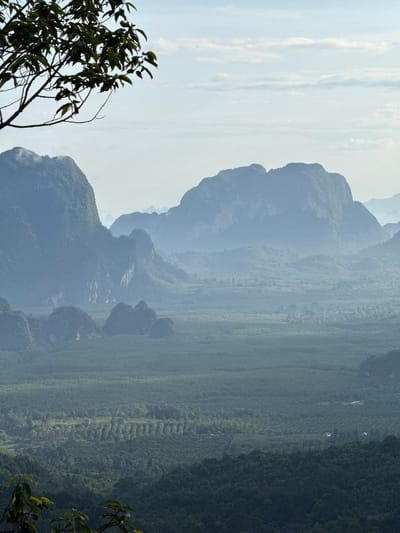 The image depicts a scenic vista of karst mountains in Ban Din Daeng Nui, Thailand. In the foreground, a dark leafy branch extends from the upper left corner, partially obscuring the sky. The sky is a pale blue with wispy white clouds. The mid-ground is dominated by layered, hazy blue-green mountains, some with sharp peaks and others with rounded, forested slopes. A vast, dense forest canopy stretches across the lower portion of the image, showing varying shades of green that indicate depth and topography. The overall impression is one of a tranquil, natural landscape. There are no people or animals visible in the scene.