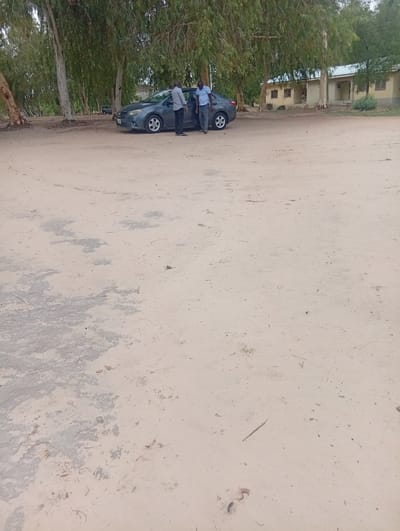 The image depicts an outdoor scene in Birnin Kudu, Nigeria, featuring two adult males, a dark gray sedan, multiple trees, and several single-story buildings under a daylight sky.

The foreground consists of light brown, sandy or dusty ground, with scattered patches of darker, possibly damp or compacted soil and minimal dry vegetation visible in the lower left and center. Small twigs and debris are dispersed across the surface.

In the midground, a dark gray four-door sedan, consistent with a Toyota Corolla model, is parked on the sandy ground, oriented slightly towards the left. The front passenger door appears to be ajar. Two adult males are standing adjacent to the driver's side of the vehicle. The male on the left, closer to the car's driver-side front, wears a light gray long-sleeved button-down shirt and dark trousers. His right hand is near the car's interior, and his body is slightly turned towards the car. The male on the right wears a light blue short-sleeved collared shirt and dark trousers; he stands facing the other man or the car, with his hands down by his sides. They appear to be engaged in conversation or an activity related to the vehicle.

The background is dominated by a dense line of tall, slender trees with light-colored trunks and abundant green foliage, suggesting species such as *Eucalyptus*. Behind the trees and to the right of the frame, several light-colored, single-story buildings with light-toned corrugated roofs are visible. These structures have multiple windows and doorways, with one building featuring a covered porch area. The lighting indicates daytime conditions, with soft shadows.