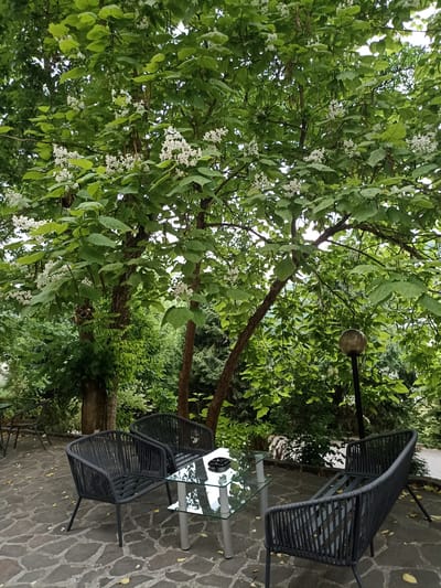 The image depicts an outdoor seating area beneath a large tree with white flowers and green leaves. Three dark, woven chairs surround a small, square glass-top table with a metal base. The table has an ashtray with a cigarette butt. The patio is paved with irregular flagstones, and fallen yellow leaves are scattered on the ground. In the background, more trees and lush greenery create a natural, shaded environment. A simple, round outdoor lamp with a glass shade is visible on a dark pole to the right of the frame. The scene appears serene and tranquil, suggesting a quiet moment in a garden or a cafe patio. The lighting suggests it is daytime, possibly overcast given the soft shadows. No people are visible. The location context of "Сонячне, Ukraine" indicates a place in Ukraine.