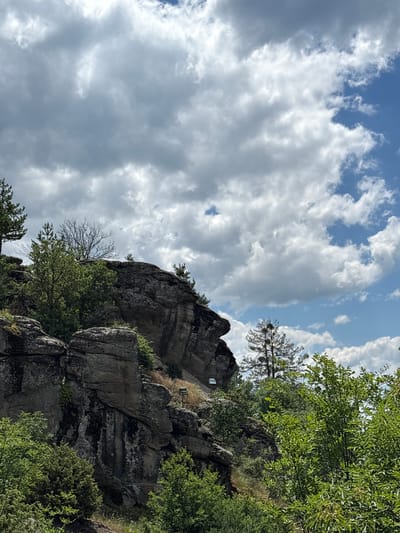 The image depicts a natural landscape featuring rugged rock formations and lush greenery under a dynamic sky. In the foreground and midground, large, weathered rock outcrops dominate, their surfaces textured with moss andlichen. Dense foliage, consisting of various trees and bushes, grows around and on the rocks, with a prominent pine tree with nests visible in the upper right portion of the frame. The background is a sky filled with dramatic clouds, a mix of heavy gray formations and brighter white cumulus clouds against patches of clear blue sky. There are no people or animals visible in the scene. The image appears to have been taken in a rural or natural area, likely part of the mountainous terrain surrounding Dolno Drianovo, Bulgaria, given the context provided. The overall impression is one of a wild, untamed environment.