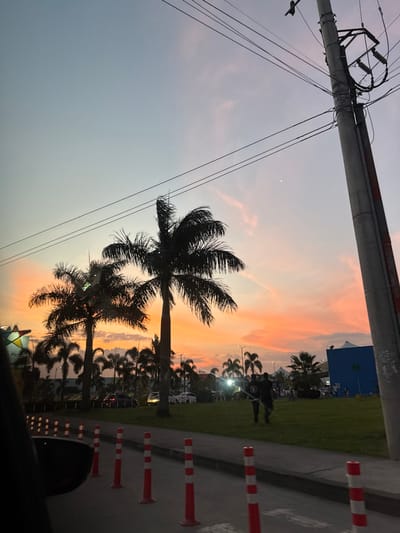 The image depicts an urban scene at dusk in Pitalito, Colombia. The sky features a gradient from bright orange and pink hues near the horizon to a lighter blue overhead, with subtle cloud formations and faint power lines visible. A single bright celestial object is present in the upper right sky.

In the immediate foreground on the left, a dark, curved surface of a vehicle's interior is visible, indicating the image was captured from inside a car. A row of approximately eight red and white striped plastic traffic bollards delineate the edge of a paved area, likely a roadway or entrance.

The midground is dominated by multiple silhouetted palm trees, with two prominent large palms in the central frame. Behind the leftmost palm, a sign with colorful geometric patterns, possibly from a shopping center, is partially discernible. A wide, manicured green grassy area runs parallel to the paved surface. Two individuals, both silhouetted and wearing dark clothing, are walking from left to right across this grassy area. The lead individual appears to be holding a long, luminous object. Several other indistinct figures are visible further in the background near a building.

The background shows additional palm trees, various parked and moving vehicles with illuminated headlights and taillights, and several structures, including a distinct blue building on the far right. A tall, concrete utility pole, equipped with multiple cross-arms and numerous bundled power lines and cables, stands vertically along the right edge of the image.