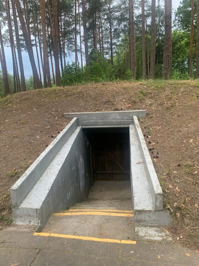 This is a medium shot, eye-level photograph of an underground bunker entrance built into a grassy, wooded hillside. The bunker entrance is constructed of concrete and features a set of stairs leading down into a dark opening. Yellow safety stripes are painted on the edges of the stairs. The hillside is covered in dry leaves, pine needles, and sparse grass. Tall pine trees are visible in the background, with a bright sky peeking through the branches. The scene is situated in a forest, likely in the vicinity of Орлеўскі сельскі Савет, Belarus. There are no people or animals present in the image.