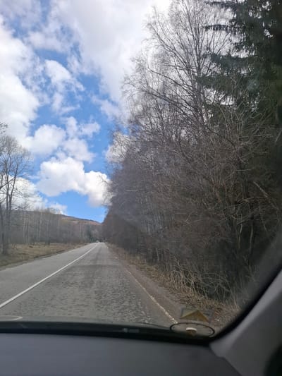 The image depicts a view from inside a vehicle, possibly a car, looking out onto a road in Gintsi, Bulgaria. The road is gray asphalt with a white line marking its edge. The roadside is lined with trees, mostly bare of leaves, suggesting it is either late autumn or winter. In the distance, there is a glimpse of blue sky with white clouds through a gap in the trees. The viewpoint is from inside a vehicle, with the frame of the car visible at the edges of the image. A triangular-shaped object adhered to the inside of the vehicle is visible on the right side of the frame. The scene appears rural, with no visible signs of urban development. No people or animals are present in the image.
