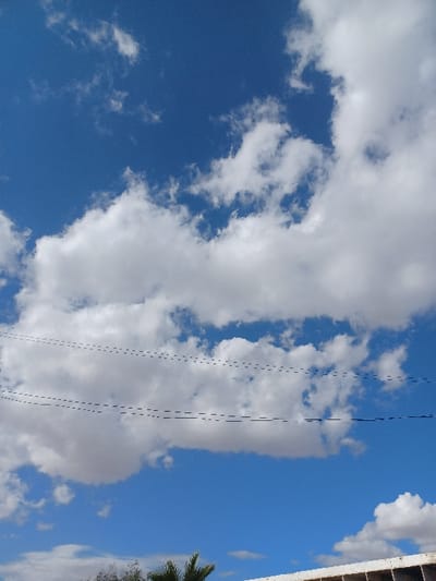 This image depicts a daytime outdoor scene in Al-Qadam Municipality, Syria, primarily featuring a blue sky with extensive cloud cover. The sky is predominantly light blue with numerous white cumulus clouds of various shapes and sizes, filling most of the frame. Three distinct, dark, horizontal lines, consistent with utility wires, traverse the mid-section of the sky, extending across the clouds. In the bottom portion of the image, green foliage, including visible palm fronds on the left and center-bottom, is partially captured. The upper edge of a light-colored building or structure is visible at the bottom right corner of the frame. No people, specific actions, or direct interactions are discernible within the visible scene.