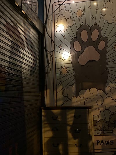 The image depicts a shopfront in Baan Nai Suan, Thailand at night. The shop is closed, with a rolled-down metal shutter covering the entrance. Above the shutter, a sign with a cartoonish paw print and the word "PAWS" is visible. A wooden coat rack is mounted to the wall. Shadows are cast on the wall, presumably from streetlights or other nearby light sources. Electrical wires are running across the ceiling.