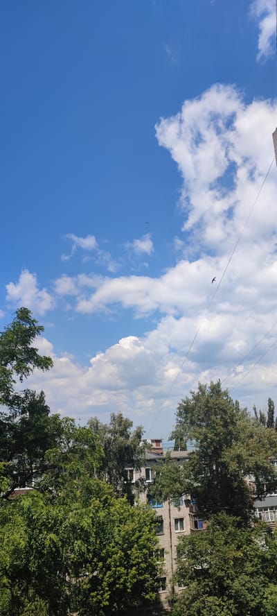 The image is an outdoor, vertical, eye-level shot taken on a clear, sunny day in Svitlovodsk, Ukraine. The scene is dominated by a bright blue sky with scattered white, fluffy clouds. Several small, dark birds are visible in flight against the sky. In the foreground and midground, lush green trees with dense foliage are prominent. Behind the trees, the upper floors of a multi-story, light-colored brick apartment building are visible, featuring numerous windows, some with white frames and others with blue frames. A small, enclosed balcony with blue trim is also visible on the building. Power lines are present, stretching diagonally across the upper right portion of the image. The overall impression is of a residential area in a city on a pleasant day.