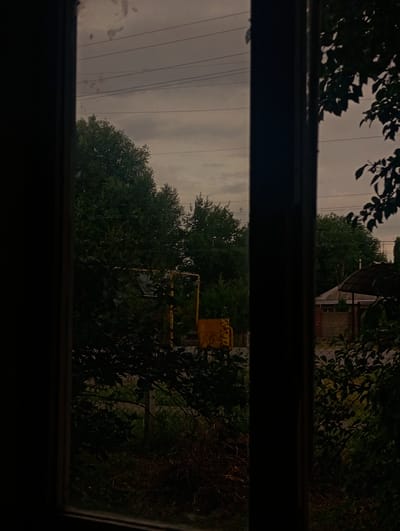 The image is a view through a window of an outdoor scene. The foreground is dominated by the dark frame of the window, with a vertical dark wooden mullion dividing the view into two sections. The exterior scene is overcast and appears to be in the late afternoon or early evening.
In the left section of the view, a dense growth of trees and foliage is visible. A yellow structure, possibly a gas meter or a piece of industrial equipment, is partially obscured by the greenery. Overhead, power lines stretch across the cloudy sky.
The right section of the view shows more trees and vegetation. In the middle ground, a small building with a pitched roof and a brick wall is visible. To the right of the building, there is a structure with a canopy. A chain-link fence runs through the middle ground, separating the immediate foreground vegetation from what appears to be a yard or garden area. The overall impression is one of a semi-rural or suburban environment.
The image does not contain any people. The location is described as "Зертас ауылдық округі, Kazakhstan." This translates to "Zertas rural district, Kazakhstan," suggesting a rural or village setting within that administrative region. The lighting conditions indicate low natural light.