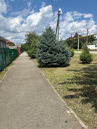 An outdoor, eye-level shot captures a paved sidewalk running along a grassy area on a sunny day in Dondukovskaya, Russia. To the left of the sidewalk, a green metal fence encloses properties with red-tiled roofs visible behind it. A line of trees and shrubs runs parallel to the fence, interspersed with building facades. In the center and right of the frame, the grassy area is dotted with trees. A large, blue-green spruce tree is prominent in the mid-ground, with a smaller evergreen tree to its right. In the background, a utility pole with wires, a building with a distinctive brown, conical roof, and a white van are visible. The sky is blue with fluffy white clouds.