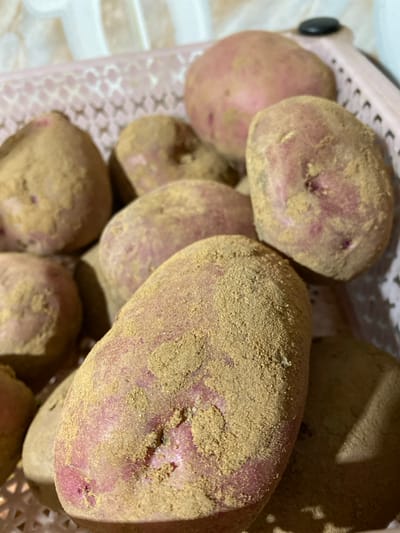 The image depicts a quantity of unwashed, red-skinned potatoes, primarily covered in yellowish-brown soil or dust, contained within a light pink, possibly plastic, woven basket with a distinct crosshatch pattern visible on its upper left side. Approximately ten potatoes are clearly visible, filling the frame. The potatoes vary in size and shape, exhibiting natural indentations and surface imperfections. Illumination suggests an indoor environment. This scene is located in Sidi Chahmi, Algeria. No individuals or active interactions are present.