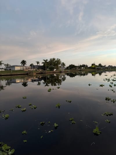 An outdoor, eye-level, vertical shot captures a serene canal at dusk in North Port, USA. The sky, a blend of soft blues and pale pinks, is adorned with wispy clouds. The still water of the canal perfectly mirrors the twilight sky and the houses lining its bank. Several houses, a dock, and palm trees are visible on the left side of the frame, their reflections appearing sharp in the water. Small green water plants dot the surface of the canal, with more concentrated clusters on the right side of the image. The overall ambiance is tranquil and peaceful, illuminated by the fading light of dusk.