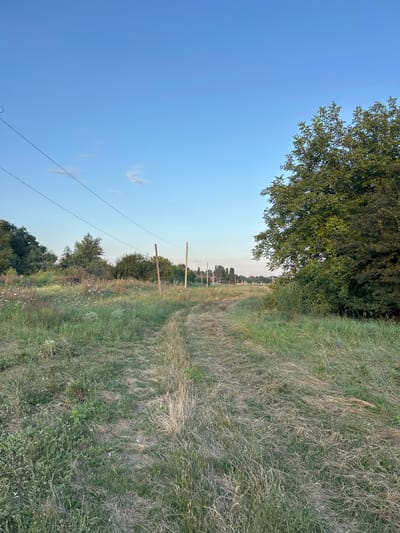 An outdoor, vertical, eye-level shot captures a dirt path winding through a grassy field. The path appears somewhat overgrown, with grass growing in the middle. To the left of the path, there are thin, dark power lines strung between wooden poles, with a few scattered small white flowers and green foliage. Further in the distance on the left, a line of trees forms a dense backdrop. On the right side of the path, a large, mature tree with dark green foliage dominates the foreground. The sky above is a clear, light blue, with a few wispy white clouds present. In the far distance, beyond the field and trees, a cluster of buildings with red roofs and tall, slender structures that appear to be cell towers are visible. The scene is consistent with a rural or semi-rural setting, potentially on the outskirts of a small town or village.