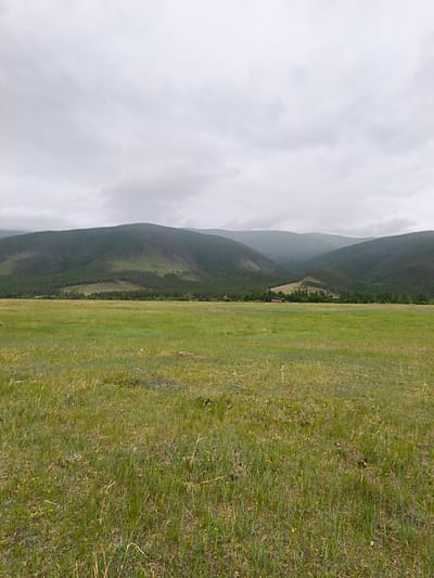 The image depicts a wide, grassy meadow in Kharamodun, Russia, with rolling, tree-covered hills in the background under a cloudy sky. The foreground is dominated by tall, green grass, with some dry stalks and small yellow wildflowers scattered throughout. A line of darker green trees marks the transition from the meadow to the base of the hills. The hills themselves are covered in dense evergreen forest, with lighter patches indicating areas of sparser vegetation or possibly burned areas. The sky is overcast, with diffused light, suggesting a cloudy or possibly rainy day. The overall impression is of a serene, natural landscape. There are no people or animals visible in the image.