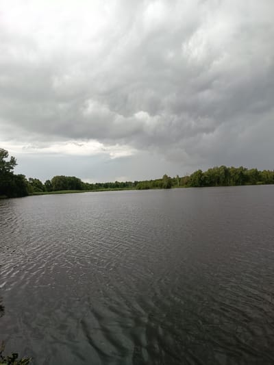 The media file depicts a wide, calm body of water with a dark, rippling surface, likely a lake or river. A dense line of green trees forms the distant shoreline, creating a natural boundary between the water and the sky. The sky is overcast with heavy, grey clouds that suggest an approaching storm or recent rain. The light is diffused, indicating it is likely daytime, possibly late afternoon or early evening given the muted tones.
The scene is a natural landscape, with no human figures or artificial objects visible. The overall mood is serene yet slightly somber, evoked by the dark clouds and the still, dark water. The location is identified as Manyuki, Russia, which places the scene within a natural, possibly rural or wilderness setting typical of that region. The absence of any text in the image means no written information is available to aid in the description. The focus is entirely on the interplay of water, trees, and sky under a dramatic cloud cover.