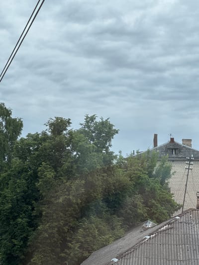 The image depicts a view of rooftops and trees against a cloudy sky, likely taken from an upper floor window. In the foreground, a grey corrugated roof extends diagonally across the bottom of the frame. Behind it, a dense canopy of green trees dominates the midground. To the right, a light-colored brick building with a grey, weathered roof is visible. This building features at least two chimneys, one of which is a taller, reddish-brown structure. A simple electrical pole with insulators stands near the right edge of the building. Overhead power lines are visible in the upper left corner of the image. The overall atmosphere is overcast and appears to be an exterior view from a residential area in Opochka, Russia. There are no people or discernible actions taking place in the image.