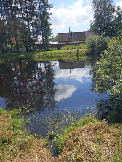 The image depicts a natural scene in the city of Im. Volodarskogo SNT, Russia. A calm body of water, likely a pond or small lake, occupies the foreground and midground, reflecting the surrounding environment. The water's surface is dark, with ripples obscuring any clear underwater details. Along the edge of the water, lush green grass and dry, straw-like vegetation are visible.

In the background, a long, dark-colored building with a corrugated roof is situated. A metal ladder is attached to the side of the roof, leading up to a chimney. The building appears to be a rustic structure, possibly a house or a shed. To the left of the building, a dense cluster of tall, slender pine trees stands, their dark green foliage contrasting with the lighter green of deciduous trees further to the right. The sky above is a mix of blue and white clouds. The overall impression is that of a tranquil, rural setting.