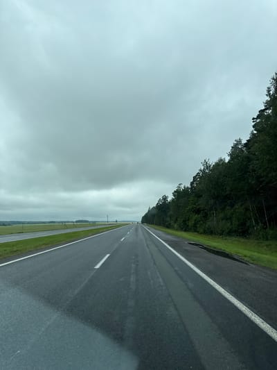 An asphalt road runs through a rural landscape under a heavily overcast sky. The road has visible lane markings and appears wet, suggesting recent rain. On the right side of the road, a dense forest lines the highway, with a grassy shoulder and some puddles. On the left side, there are open fields and a distant treeline. The scene is devoid of people or vehicles, creating a sense of isolation. The weather is gray and somber, with a muted color palette dominated by greens and grays. The image appears to be taken from a moving vehicle, as indicated by the perspective and the slight blur. The location is specified as Talachynski Sel'ski Savet, Belarus.