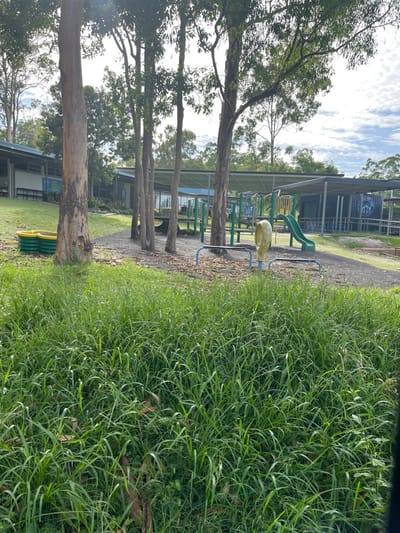 This photograph captures an outdoor scene, likely a schoolyard or public park, featuring a playground area bordered by abundant greenery and trees. The image is oriented with a dense patch of tall, vibrant green grass dominating the right side of the frame, showing some fallen leaves intertwined within.

In the middle ground, a children's playground is visible, set on a dirt or gravel path. It includes various pieces of equipment: a green slide, a yellow animal-shaped spring rider (possibly a chicken or duck), and other blue and green metal climbing structures or monkey bars. Several tall, slender trees with light-colored bark are scattered throughout the mid-ground and extend towards the left, providing shade. Their foliage is green and leafy.

In the background, behind the playground and trees, there are buildings, which appear to be part of a school complex, characterized by their modular structure and covered walkways. One building features a dark panel or banner with a white, circular logo or emblem, possibly a school crest, which is not clearly legible but suggests an institutional setting. The sky above is partly cloudy, indicating daytime conditions. There are no people visible in the scene, suggesting a quiet moment. The overall impression is one of a natural and recreational space.