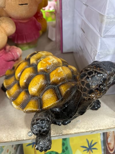 This is a close-up, overhead shot of a decorative turtle figurine. The turtle has a black head and limbs, and a yellow, segmented shell with black outlines. The shell is highly reflective, suggesting it's made of a glossy material like resin or ceramic. The turtle is positioned on a light-colored, textured surface, possibly a shelf or countertop, with a portion of a white, plastic-wrapped box visible in the background to the left. Below and to the left of the turtle, out of focus, are several colorful, soft objects, possibly plush toys or decorative items in shades of pink, yellow, and green. To the right of the turtle, a yellow surface with a blue, star-like graphic and green shapes is partially visible. There is no clear indication of the time of day, weather, or specific emotions. The setting appears to be indoors, within a retail or domestic environment where decorative items are displayed or stored. No visible text is present in the image.