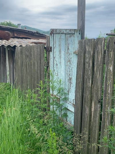 This image depicts an outdoor scene in the village of Ustinovka, Russia. The foreground is dominated by lush, green grass and vegetation, obscuring the lower portions of the structures. Behind the foliage, a weathered wooden fence runs vertically through the frame. To the left of the fence, a portion of a rustic building is visible, featuring a corrugated metal roof with areas of rust. Further to the left, another section of a wooden structure with vertical planks is present. Directly behind the fence, a pale blue wooden door stands ajar, revealing a glimpse of greenery beyond. The door exhibits peeling paint and appears old and worn. The sky above is overcast and a neutral gray. A wooden utility pole stands to the right of the door. The overall impression is one of rural neglect or abandonment, with natural elements encroaching on man-made structures.