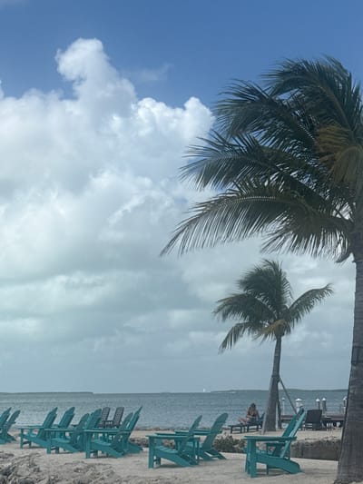 The image depicts a beach scene in Key Largo, Florida, United States. Two palm trees dominate the upper portion of the frame. The sky is partly cloudy, with a mix of blue sky and white clouds. The beach features several turquoise-colored beach chairs lined up along the shoreline. A body of water, presumably the ocean, stretches horizontally across the midground. A person is sitting in one of the chairs.