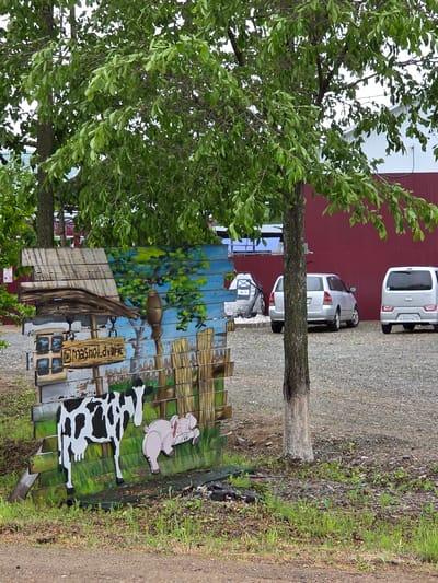 The image presents an outdoor scene in Valdgeym, Jewish Autonomous Oblast, Russia, characterized by a mix of natural elements and constructed features. In the immediate foreground, a vertically oriented structure, assembled from horizontal wooden planks, is depicted. This structure is painted with a rural motif, including a weathered wooden building on the left, a green tree against a blue sky, and a wooden fence section. Attached to the lower part of this painted display are two cut-out figures: a black-and-white cow standing on the left and a pink pig lying on the right. A brown sign, suspended by two chains on the painted structure, bears the text "@masnol_dvorie". The ground directly in front of this display consists of earth with sparse patches of green grass and weeds.

A deciduous tree with a rough-barked trunk and dense green foliage stands centrally in the midground, its branches extending into the upper frame. Behind this tree, a gravel surface indicative of a parking area is visible. Two silver-colored vehicles are parked against a large building in the background. The vehicle on the left is a silver station wagon, while the vehicle on the right is a silver minivan or compact wagon, displaying a Russian license plate "A242YA 79".

The background features a substantial building characterized by a dark red lower facade and a white upper facade, likely composed of metal siding. To the far left, a portion of another building with a blue corrugated roof is visible. Partially obscured behind the left parked vehicle is a white stone monument or object featuring a red star and an anchor emblem. The sky overhead is overcast, and no individuals are present within the frame.