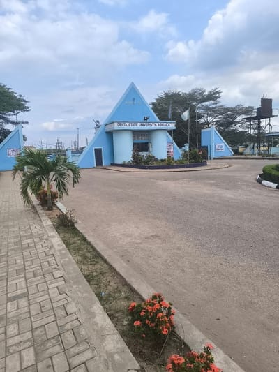 The media file presents a daytime view of the entrance gate of Delta State University, Abraka, Nigeria. The central subject is a distinctive, light blue, pyramidal gate structure with the university's name, "DELTA STATE UNIVERSITY, ABRAKA," prominently displayed across its front. Above this, on the right side of the main structure, the text "ETC PROJECT 1999" is visible.

Flanking the main gate are two smaller, matching blue structures, each bearing posters with indistinct text; one on the left appears to have red and black writing, and another on the right features blue text. A paved road leads towards and curves around the entrance, bordered by a grey concrete curb. To the left, a textured, light-colored tiled pathway is visible.

The scene includes various natural elements: a green palm tree stands on a small landscaped patch beside the pathway, and several bushes with vibrant orange-red flowers are spaced along the roadside. In the background, large green trees can be seen, and a metal water tank on a tall stand is situated to the far right. Two flags are flying from poles near the main gate, one of which resembles the Nigerian national flag.

The sky is overcast with scattered white clouds, suggesting a mild daytime. No people are present, and no specific activity or event is taking place; the image captures a static architectural and landscape scene. The location is specifically identified by the university sign as Abraka.