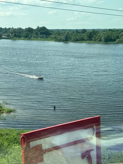 The image shows a wide, rippling body of water, likely a river, under a cloudy sky. A small white motorboat with two people aboard is moving from left to right across the water, leaving a white wake behind it. In the distance, the far bank of the river is lined with dense green trees and some scattered buildings, suggesting a rural or semi-rural setting. In the foreground, the edge of a red sign or frame is visible, partially obscuring the lower portion of the scene. The overall atmosphere is peaceful and summery, with the water's surface reflecting the light and sky. This scene is consistent with the landscape found in Mar'ino, Russia, which is known for its proximity to the Moscow River and its lush natural surroundings.