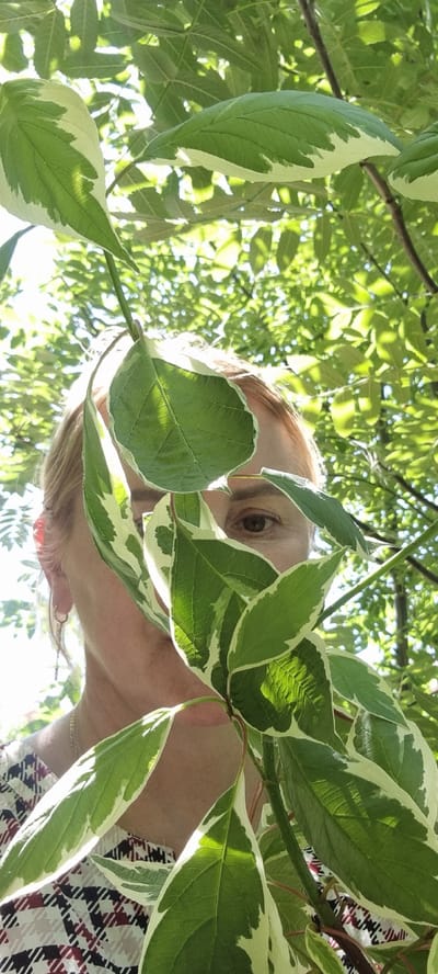 A close-up, eye-level shot shows a woman peeking through variegated green and white leaves of a plant. Her right eye and a portion of her forehead are visible, with blonde hair framing her face. She is wearing a patterned top with a red, white, and black plaid design and a thin silver necklace. The background is filled with out-of-focus green foliage and dappled sunlight filtering through the trees. The overall scene suggests an outdoor setting, likely in a park or garden, given the lush greenery. The image does not provide any specific clues to its location within Verzilovo, Russia, beyond being an outdoor, natural environment.