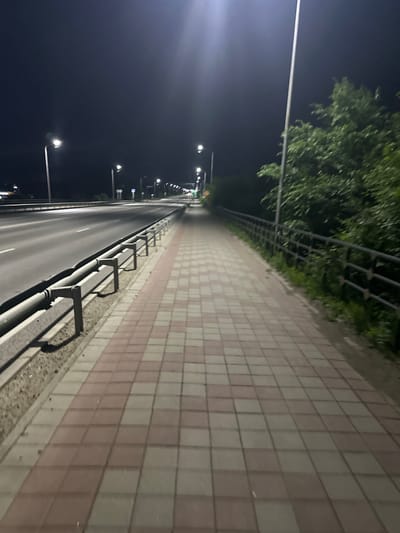 The image depicts an outdoor scene at night, likely in the Заречный ауылдық округі, Kazakhstan, characterized by artificial lighting from street lamps. A paved pedestrian walkway, with alternating red and beige square tiles, stretches from the foreground into the distance. Adjacent to the walkway is a metal guardrail separating it from a multi-lane road. The road appears empty of vehicles. To the right of the walkway, dense green foliage is visible behind a dark metal fence, suggesting the presence of trees or shrubbery. The overall atmosphere is quiet and deserted, with the artificial light creating long shadows and highlighting the textures of the pavement and guardrail.