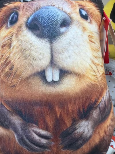 The image shows a close-up of a beaver pillow. The pillow depicts the beaver's face, including its nose, eyes, prominent incisors, and fur. The beaver is facing forward. It looks to be somewhere in a retail store but not definitively confirmed to be in Murmansk, Russia.