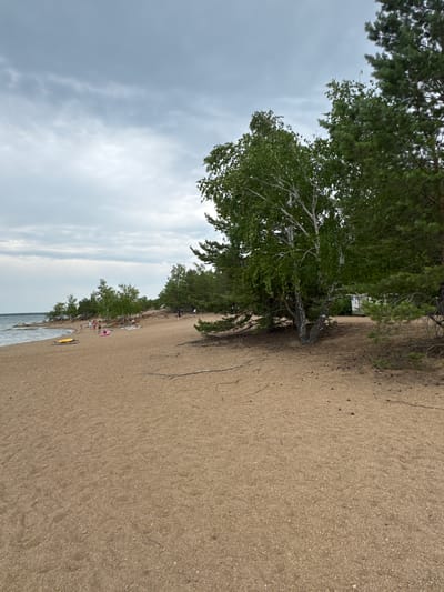 This is a medium-angle, eye-level, full shot of a sandy beach with scattered trees and a cloudy sky. The beach is composed of light brown sand with some small pebbles and dry pine needles. In the foreground, the sand is mostly smooth with some subtle indentations.

Along the left side of the image, a body of water with gentle waves is visible. The water is a muted blue-gray color, and there are some rocky formations near the shoreline. Scattered along the beach are a few people, most of whom are standing or sitting. One person is wearing a pink inflatable ring. Further back, there are more trees, including birch and pine trees, with dense green foliage. Some of these trees are situated on rocky outcrops.

In the middle ground, a yellow inflatable object is lying on the sand near the water's edge. To the right, the trees become denser, and a small white structure, possibly a changing room or restroom, is partially visible amongst the trees. The sky is overcast with various shades of gray clouds, suggesting a diffused light. The overall impression is a serene, natural beach setting.