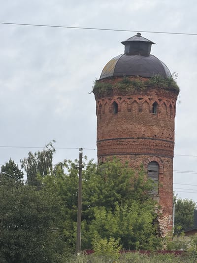 This is a medium shot, eye-level, outdoor, vertical photograph of a brick water tower in Miloslavskoye, Russia. The sky is overcast and grey. The water tower is made of red brick and has a conical, dark metal roof. The tower has decorative brickwork around the top and windows. There are also arched openings in the brickwork. The tower is surrounded by lush green trees and foliage, with some of the foliage growing on the tower itself. A power pole with wires is visible to the left of the tower, and more power lines run across the top of the image. Some of the brickwork on the lower part of the tower appears to be damaged and crumbling, with green plants growing from the gaps. A red fence is visible in the foreground. The overall scene suggests an old, somewhat dilapidated but still standing structure within a green, rural or semi-rural environment.