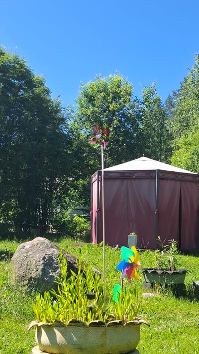 This image depicts a backyard scene on a sunny day in Novovilgovskoye Sel'skoye Poseleniye, Russia. In the foreground, a cracked, light-colored planter, possibly made from a repurposed tire, is filled with vibrant green, thin-leaved plants. A small solar-powered garden light is visible among the plants. To the left of the planter is a large, rough-textured grey boulder. A multi-colored pinwheel on a white pole stands in front of a large, hexagonal burgundy gazebo with a white roof. Behind the gazebo, dense green trees form a natural backdrop under a clear blue sky. To the right of the gazebo, another planter, also appearing to be made from stacked tires, contains a small plant with sparse leaves. The ground is covered in lush green grass, indicating a well-maintained outdoor space.