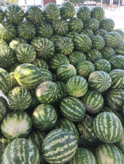 A pile of watermelons is displayed in the city of Kiyat, Uzbekistan. The watermelons are predominantly green with darker stripes and vary in size and shape, some being round and others more oblong. The fruit is stacked closely together, filling the majority of the frame. The background suggests an outdoor market or roadside stall, with glimpses of buildings and trees. There are no people or animals visible in the image. The lighting indicates it is daytime.