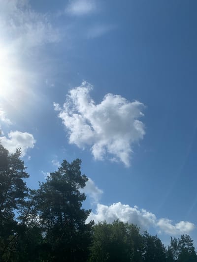 The image captures a bright, sunny day with a clear blue sky in Pokotylivka, Ukraine. The upper left portion of the frame is dominated by the sun, casting bright rays across the sky, some of which are visible as faint lines. A few fluffy white clouds are scattered throughout the sky, with one prominent, larger cloud positioned in the upper center of the image. The lower portion of the image features the dark silhouettes of tall pine trees and other foliage, indicating a wooded or park-like environment. The trees are dense and their branches extend upwards towards the sky. There are no people or animals visible in the frame. The scene is static and depicts a natural outdoor setting.