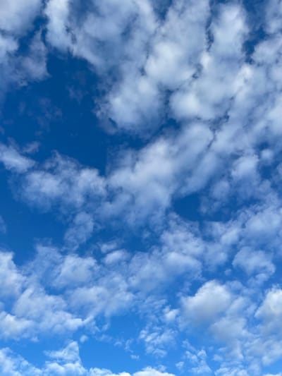The image shows a bright blue sky filled with scattered white cumulus clouds. The clouds vary in size and density, with some appearing fluffy and others more wispy. The scene is an outdoor environment, likely an aerial view, as there is no ground or city visible. The location is identified as Турово, Russia, but the image itself provides no specific visual cues to confirm or deny this. There are no people, subjects, objects, actions, or interactions depicted in the image. The environment is solely the sky and clouds.