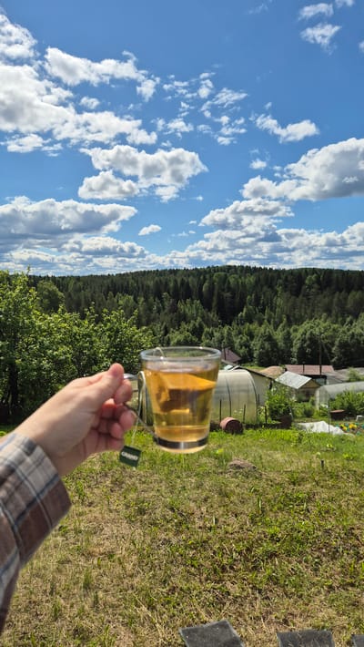 A hand wearing a plaid shirt holds a clear glass mug filled with amber-colored tea, a tea bag tag reading "GRAND" dangling from the string. The mug is held against a backdrop of a lush green forest under a bright blue sky dotted with fluffy white clouds. In the middle ground, several greenhouses and small buildings are visible amidst the trees. The foreground consists of dry, green grass. The scene appears to be located in the village of Mazhezero, Russia.