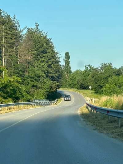 The image depicts a curved road with a silver car driving on it. The road is flanked by a metal guardrail on both sides. To the left, there is a dense forest of tall pine trees and other green foliage. To the right, the landscape transitions to tall dry grass and more trees in the background. The sky is clear and blue. A white circular sign with a black symbol is visible on the right side of the road. The scene appears to be a rural road, possibly located in or near the village of Prisovo, Bulgaria, given the context. The car is positioned in the middle of the lane, moving away from the viewer. There is a single driver visible inside the car. The environment suggests a warm, sunny day.