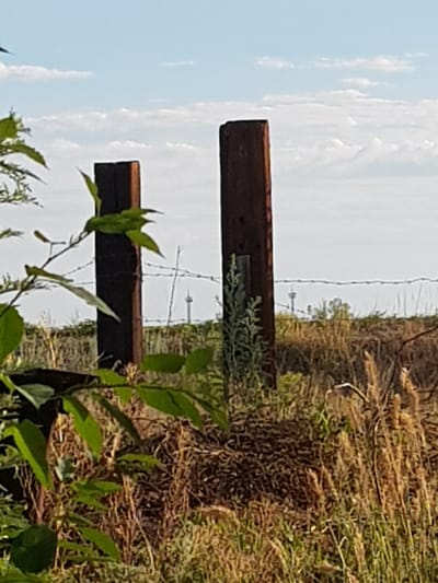 The image depicts a rural landscape with two wooden fence posts in the foreground, a barbed wire fence stretching horizontally across the middle ground, and dry grass and foliage. In the distance, two towers are visible, likely part of a telecommunications or radio mast. The sky is partly cloudy. The scene appears to be located in an open, undeveloped area, consistent with the rural setting of Дөлен ауылдық округі, Kazakhstan. There are no people or animals visible in the image, and no discernible actions or interactions are taking place. The overall impression is one of quiet isolation.