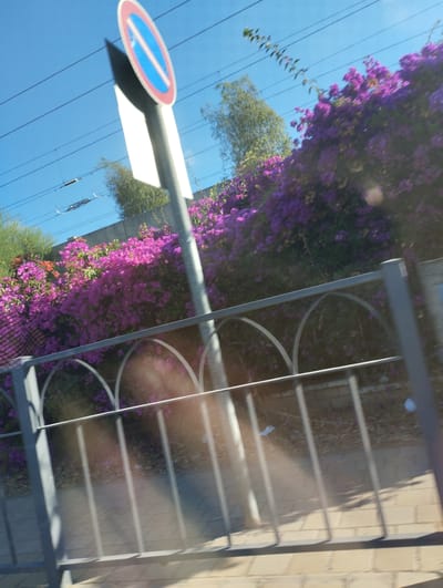 This is a media file taken outdoors in Binyamina - Givat Ada, Israel. The scene features a clear blue sky with overhead wires, suggesting an urban or semi-urban environment with power infrastructure. In the foreground, a metal fence runs horizontally across the frame, with a portion of a paved walkway visible beneath it. Behind the fence, vibrant purple bougainvillea flowers are in full bloom, creating a lush and colorful backdrop. A traffic sign, likely indicating a prohibition, is visible on a pole to the left, casting a shadow. The presence of abundant flowers and the clear sky suggest a warm, sunny day, likely during daylight hours. The overall impression is one of a bright and pleasant outdoor setting, possibly along a street or pathway in a residential or public area. There is no visible text other than what might be on the traffic sign itself, which is not legible.