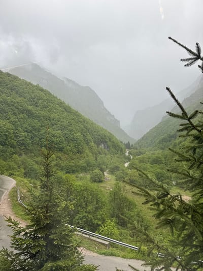 A landscape view from Shtupeq i Madh, Kosovo, on a foggy day. Green, tree-covered mountains recede into the distance, obscured by heavy fog. In the foreground, pine tree branches frame the view from above. A paved road with a metal guardrail runs alongside the right edge of the image, suggesting a mountain pass. The weather creates low visibility, emphasizing the dense vegetation.
