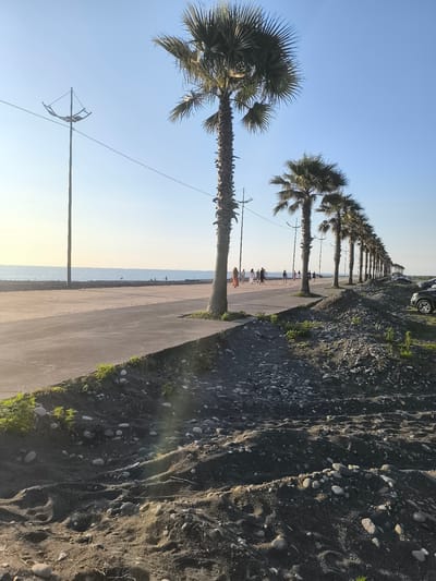 The image depicts a sunlit scene along a waterfront promenade lined with tall palm trees. In the foreground, a rough, dark sandy and pebbly embankment slopes upwards from the left. A paved walkway, bordered by a low concrete barrier, runs parallel to the sea.
Several people are visible walking along the promenade. They appear to be casually strolling and enjoying the seaside environment. A line of palm trees stretches into the distance, creating a distinctive tropical atmosphere. In the background, the calm sea stretches to the horizon under a clear, pale blue sky. The sun is low in the sky, casting long shadows and bathing the scene in a warm, golden light, suggesting it is either early morning or late afternoon.
Further down the promenade, more palm trees are visible, and beyond them, a row of cars is parked. The presence of a paved walkway, streetlights, and parked cars suggests a developed public space, likely a beach or promenade area. The overall mood is peaceful and relaxed, with the natural beauty of the seaside complemented by the leisurely activity of the people. There is no visible text in the image.