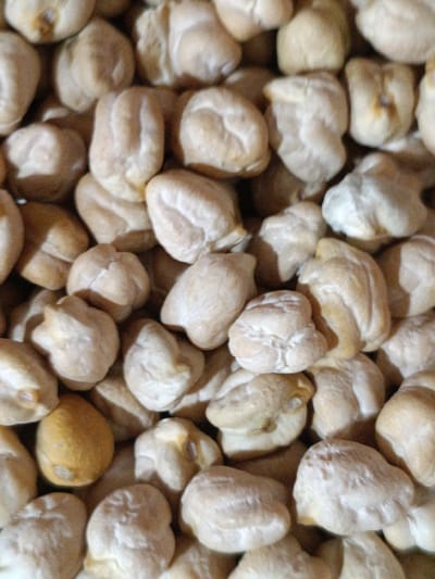 A close-up, overhead shot captures a dense pile of dried chickpeas. The chickpeas are light beige to pale yellow in color, with some exhibiting a slightly darker, almost golden hue, and a few showing subtle brown speckles. Their surfaces are textured and appear somewhat wrinkled, with visible indentations and crevices that create a play of light and shadow. The arrangement is haphazard, with the chickpeas overlapping and piled upon one another, filling the frame entirely. The overall impression is one of abundance and a rustic, natural product. There are no people or discernible environmental features beyond the chickpeas themselves. The image does not provide any information that would allow for a determination of its location within Martuni, Armenia.