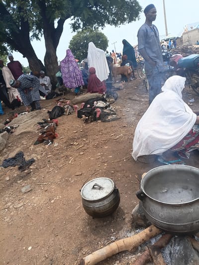 In Tilde, Nigeria, a lively outdoor market scene unfolds beneath a large, leafy tree. Several people, dressed in traditional attire, are gathered, some in conversation while others attend to goods. The ground is a mix of dirt and rocks, littered with fallen leaves and twigs. A collection of dead poultry, primarily turkeys and chickens, are laid out on the ground, likely for sale. In the foreground, two large metal pots sit over a fire pit, suggesting food preparation is underway. The atmosphere appears bustling and communal, indicative of a typical market day.