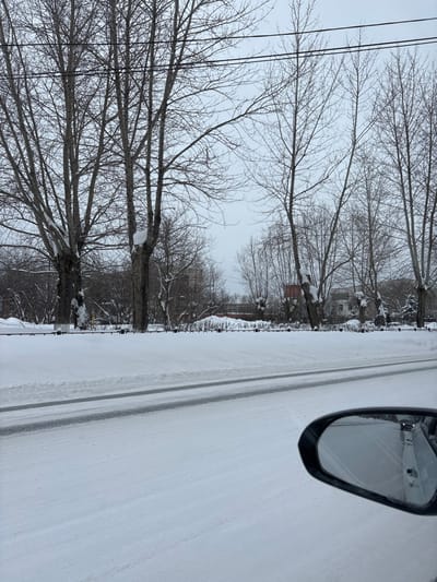 A snowy street scene unfolds from the perspective of a vehicle. Fresh snow covers the road, marked by tire tracks. Bare trees line the left, their branches coated in snow. A few houses can be seen between the trees in the distance. A car's side mirror is visible in the upper right corner, reflecting the snowy scene. Powerlines stretch across the sky above the trees.