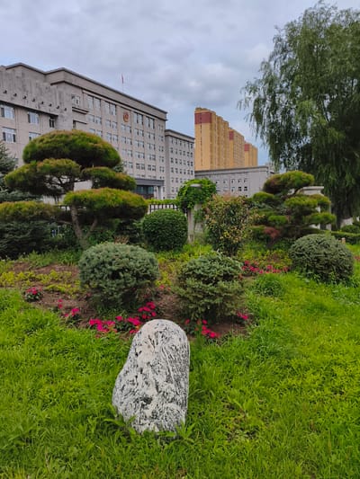 In Jiguan District, China, the image depicts a public area featuring manicured landscaping in front of modern buildings. The foreground is dominated by lush green grass, with a prominent, irregularly shaped white rock with dark gray markings placed centrally. Behind the rock, a garden bed displays a variety of neatly trimmed bushes and small trees, including several spherical topiaries and a tiered, sculpted pine tree. Small pink flowers are interspersed throughout the garden. A tall, leafy green tree extends from the right side of the frame, its branches partially obscuring the background. In the middle ground, a dark metal fence separates the garden from the buildings. The background reveals a long, gray, multi-story building with numerous windows, adorned with a circular emblem and a red flag on its roof. To the right of this building, a series of taller, yellow buildings with red trim are visible, also featuring many windows. The sky is overcast with gray clouds. The scene appears to be a well-maintained urban landscape, possibly a government or administrative complex. No people are present in the image.