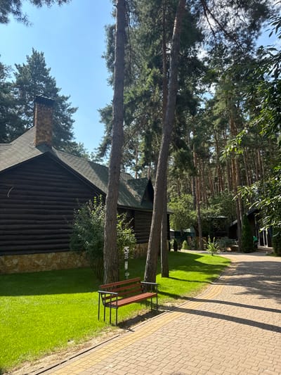 The image depicts an outdoor scene in Hlibivka, Ukraine, under a clear blue sky. On the left, a dark brown, log-cabin style building with a dark green shingled roof and a visible stone chimney is situated. The lower portion of the building's exterior wall is clad in light-colored stone. In the foreground, a modern bench with a dark metal frame and reddish-brown wooden slats rests on a bright green grass lawn. Adjacent to the lawn, a light-toned brick paver pathway extends from the foreground, curving towards the right side of the frame. A small white sign with a "no pets" pictogram is visible on the lawn, positioned between the bench and a tall pine tree. Multiple tall pine trees with slender trunks dominate the background and right side of the image, forming a dense forest. Another dark-colored building is partially visible further back along the pathway on the right. The scene is brightly illuminated by sunlight, evidenced by distinct shadows cast by the trees and the bench. No individuals are present.