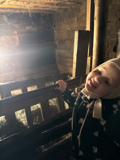 A low-angle shot shows a young girl with a light complexion and a knit hat, partially visible, looking down from a wooden structure. She is wearing a dark patterned coat with light-colored trim. She is holding onto a vertical beam of the wooden structure, which appears to be a ladder or scaffolding. The structure is made of rough-hewn wooden planks and beams, with gaps and openings revealing a dark, possibly dusty, interior. Bright light emanates from the lower left, illuminating the wooden structure. No identifiable features indicate the location is Кипчак, Russia.