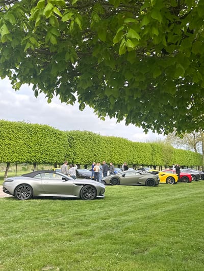 The scene is a grassy area with a row of trees, most of which are trimmed into hedges. The hedges are a dark green. In the foreground, there are several luxury cars including a silver convertible Aston Martin, a green Lamborghini, a yellow Lamborghini, and a red Ferrari. The cars are parked in a line, with a group of people standing behind them. There are at least 10 people present, all of whom are dressed casually. The scene is located at Château de Chambord, a Renaissance castle located in Chambord, France (latitude: 47.615, longitude: 1.518). The sky is mostly cloudy.
