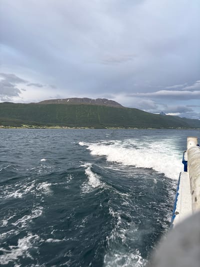 A vertical, medium shot captures a view from a moving boat on a body of water. The water is dark blue and choppy, with white foam trails indicating the boat's wake. A white railing with blue accents is visible on the right side of the frame, suggesting the perspective of someone standing on the deck of a vessel. In the background, a lush, green, tree-covered mountain range rises from the water's edge. Scattered small houses are visible along the shoreline at the base of the mountains. The sky is overcast with a mix of gray and white clouds. The scene appears to be the coast of Brøstadbotn, Norway.